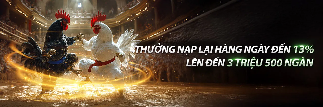 Đá Gà Trực Tuyến tại zalo7777